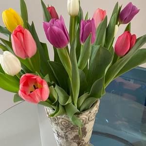 Meet your Posher, Janice